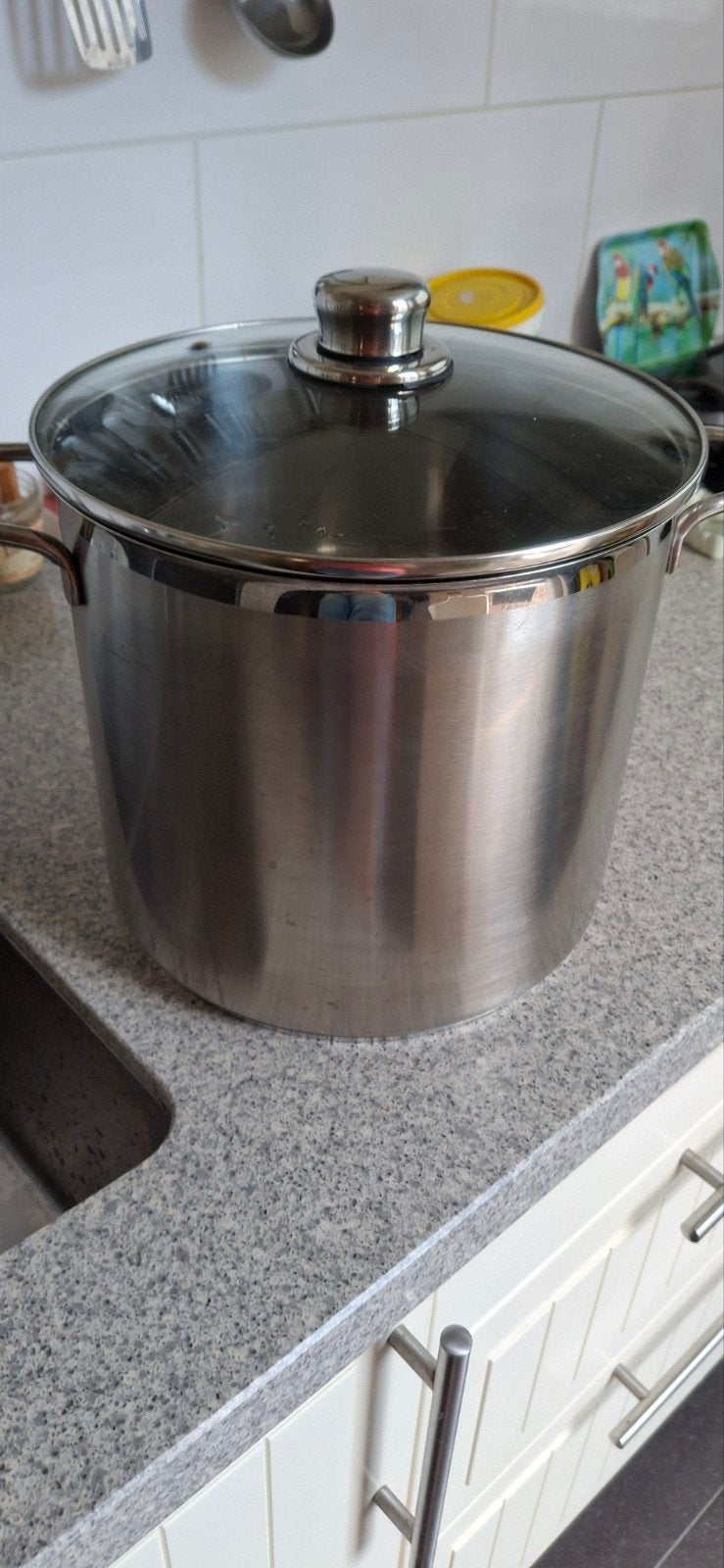Grote RVS Kookpan met Deksel - 8+ Liter Inhoud, Huis en Inrichting, Keuken | Potten en Pannen, Ophalen, Gebruikt, Met deksel, Rvs