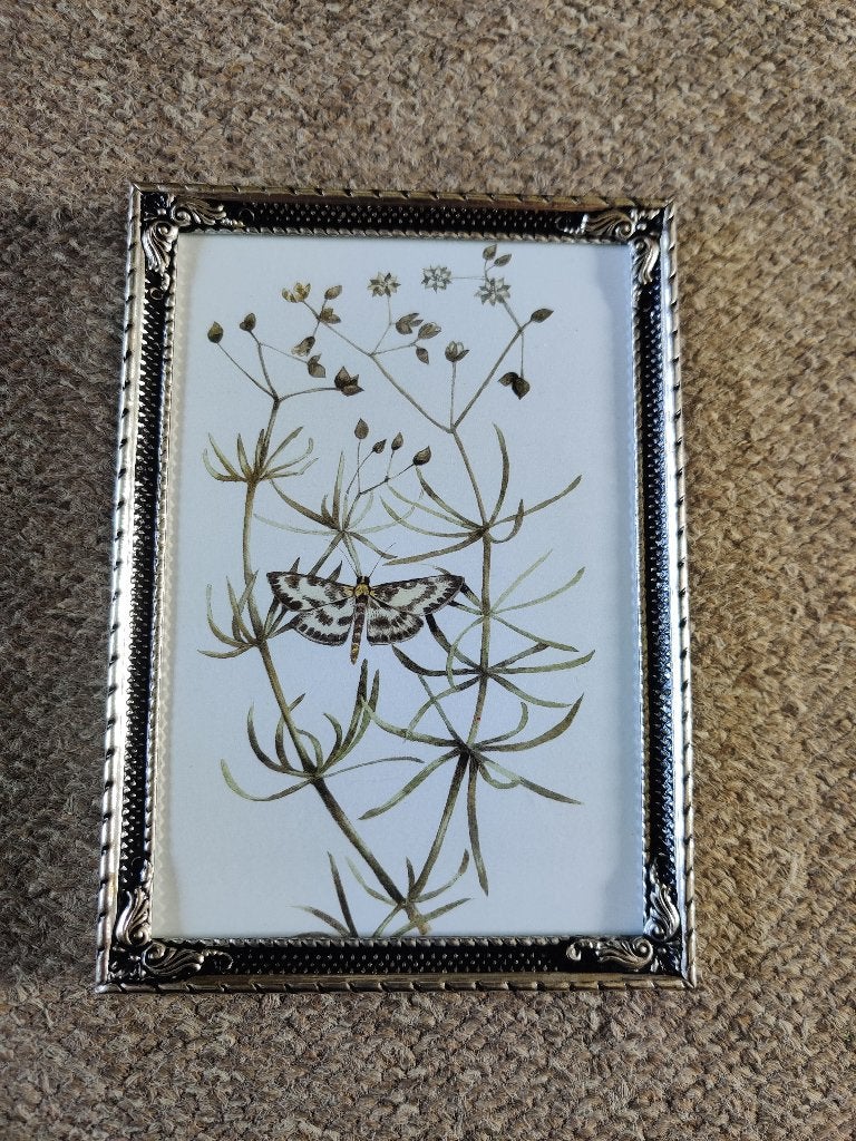 vintage jyden fotolijst zilver plated 15x10 cm brocante, Verzenden, Zo goed als nieuw, Fotolijst, Met glas