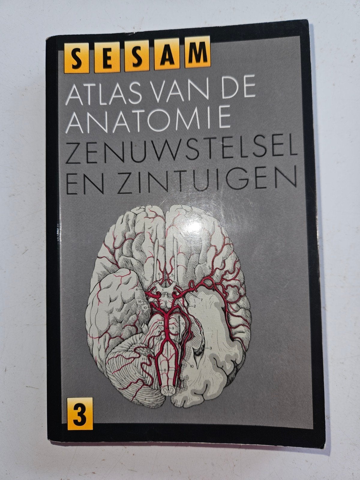 Sesam Atlas van de Anatomie: Zenuwstelsel en Zintuigen, Boeken, Studieboeken en Cursussen, Onbekend, Zo goed als nieuw, Beta, HBO