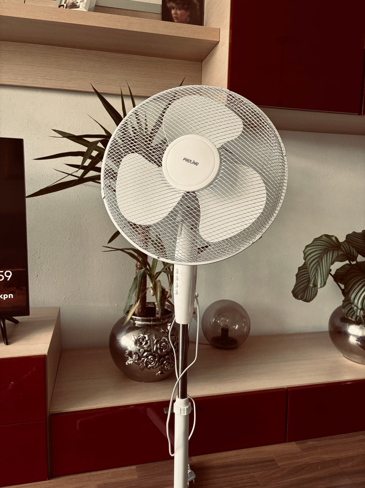 Staande ventilator, Ophalen of Verzenden, Nieuw, Vloerventilator