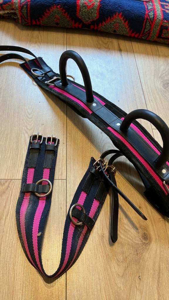 Roze voltigesingel, Dieren en Toebehoren, Paarden en Pony's | Overige Paardenspullen, Ophalen of Verzenden, Gebruikt, Overige soorten
