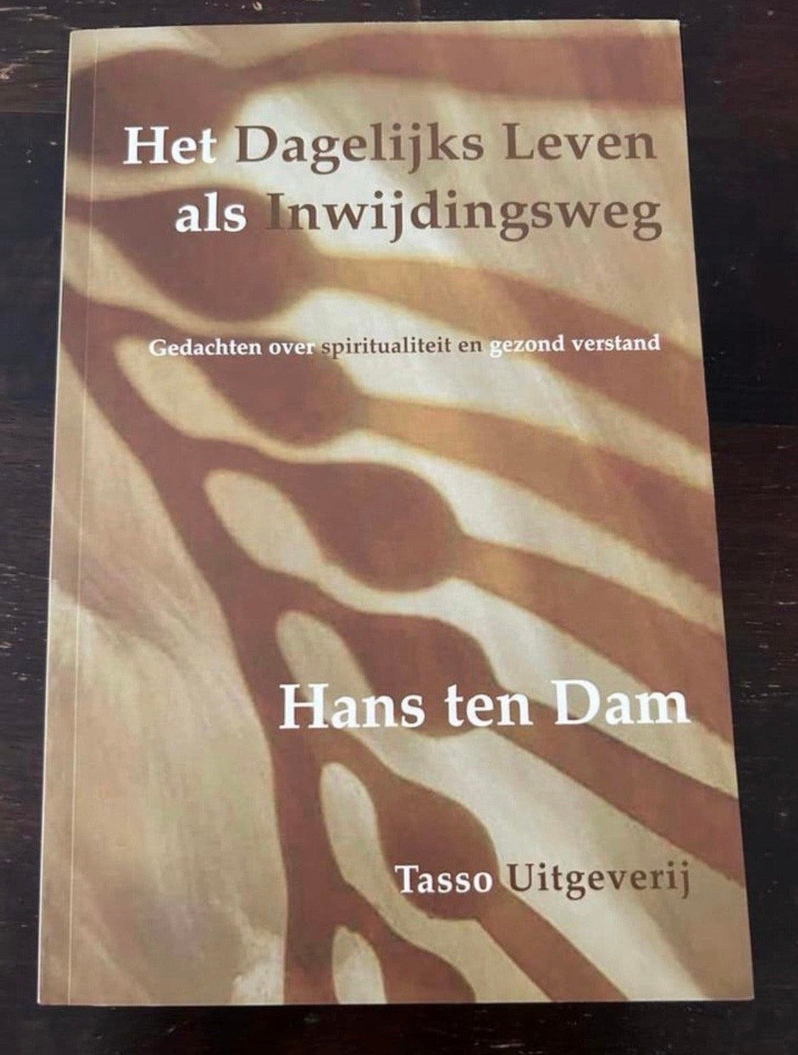 Het Dagelijks Leven als Inwijdingsweg - Hans ten Dam, Boeken, Ophalen of Verzenden, Gelezen, Spiritualiteit algemeen, Achtergrond en Informatie