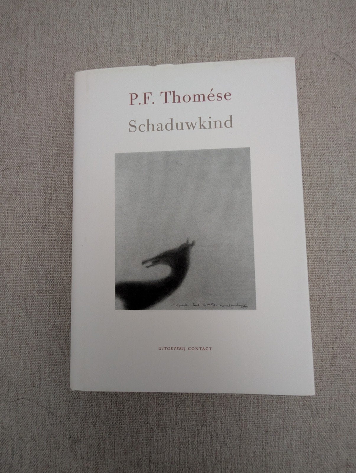 P.F. Thomése  Schaduwkind, Boeken, Ophalen of Verzenden, Gelezen, P.F. Thomése