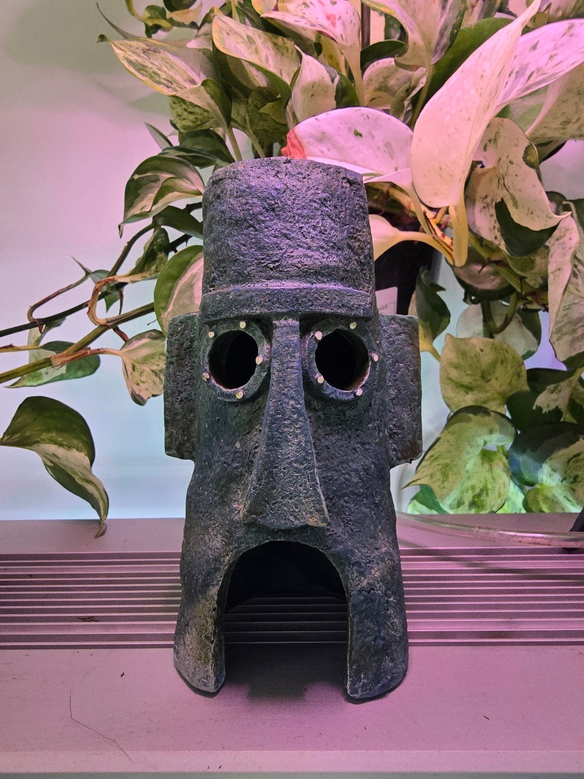 Leuk aquarium huisje, Ophalen