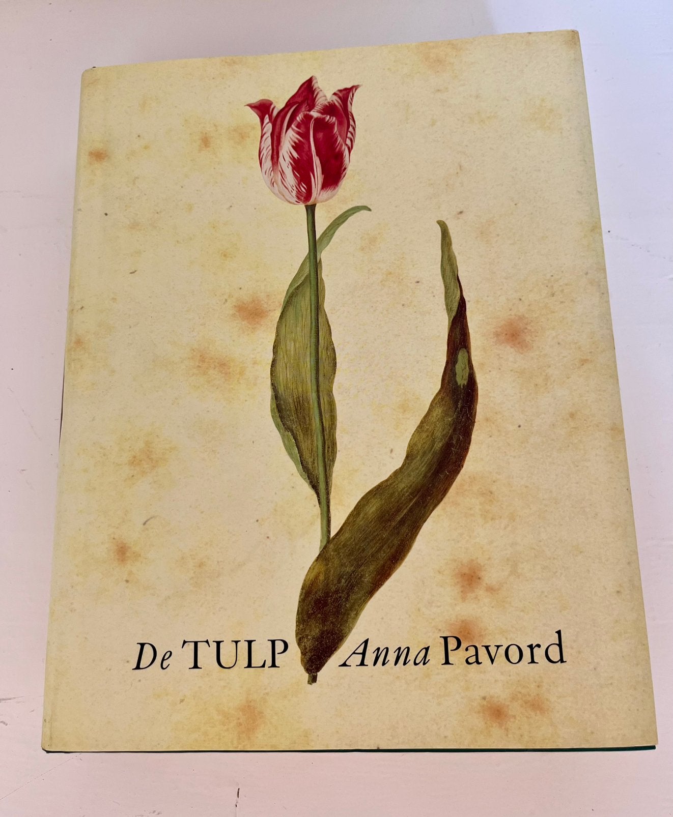 De Tulp, Anna Pavord, Ophalen of Verzenden, Nieuw