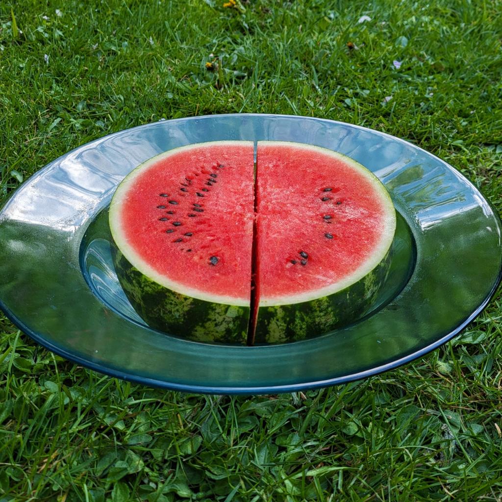 grote Glazen schaal transparant watermeloen en andere iets, Antiek en Kunst, Ophalen of Verzenden