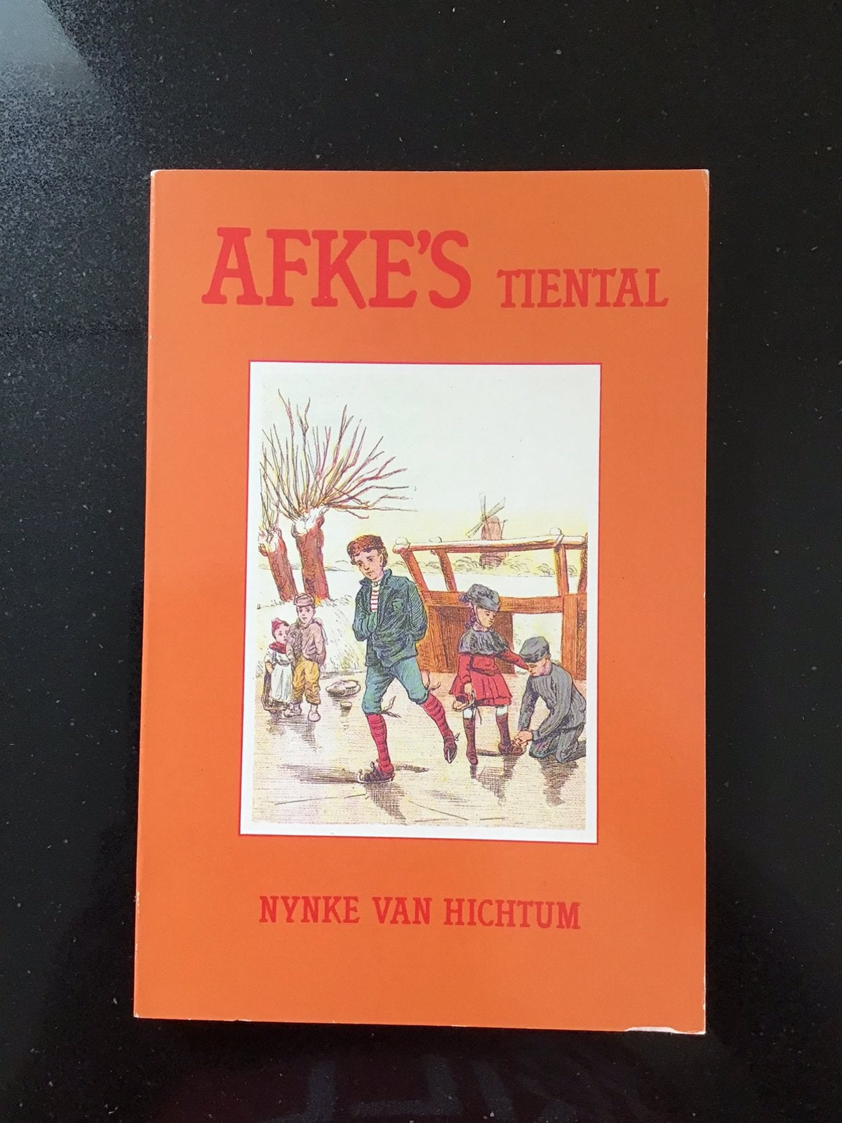 Boek. Afke’s Tiental. Van Nynke van Hichtum., Verzenden, Gelezen