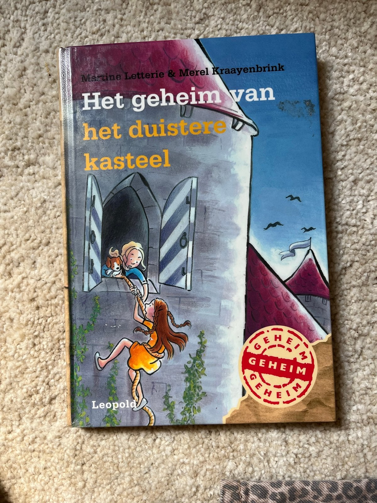 Het geheim van het duistere kasteel - Martina Letterie, Ophalen, Zo goed als nieuw, Fictie