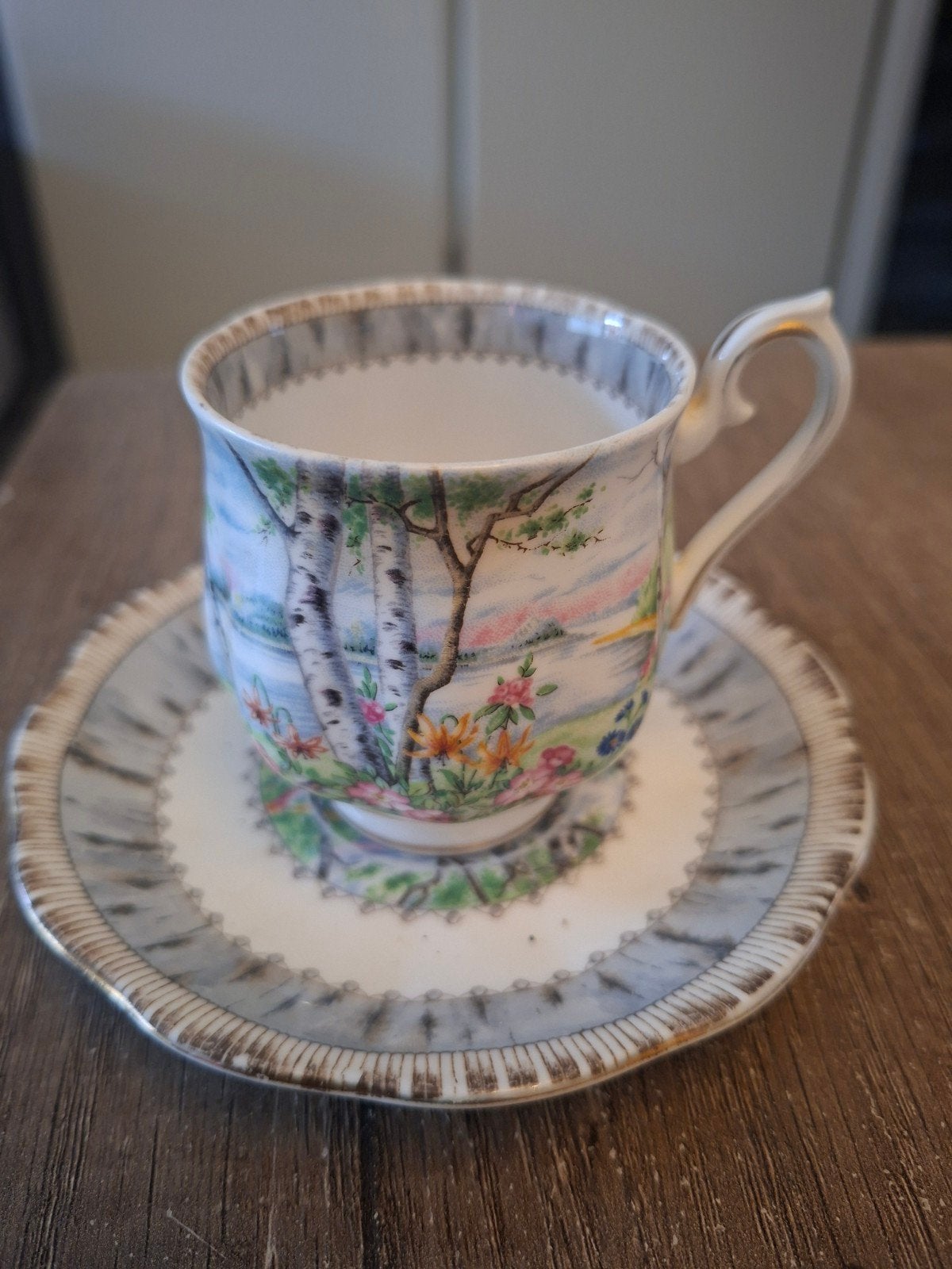Royal Albert Silver Birch Kop en Schotel, Klassiek, Ophalen of Verzenden, Zo goed als nieuw, Kop(pen) en/of Schotel(s)