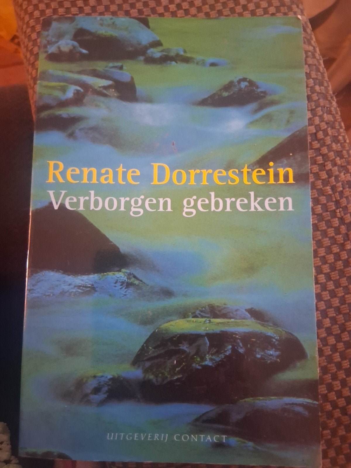 Verborgen gebreken (Renate Dorrestein), Ophalen of Verzenden, Zo goed als nieuw