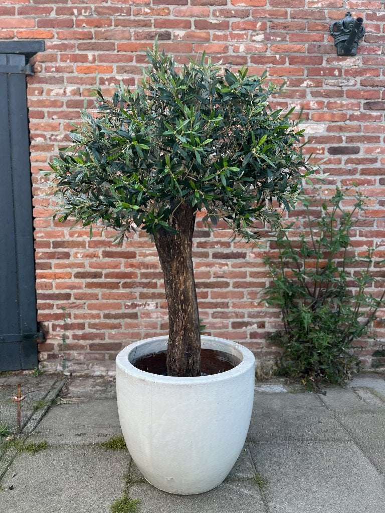 Olijfboom kunst op maat gemaakt houten stam 1.50-1.80m, Binnen, Groen, Kunstplant, Ophalen of Verzenden