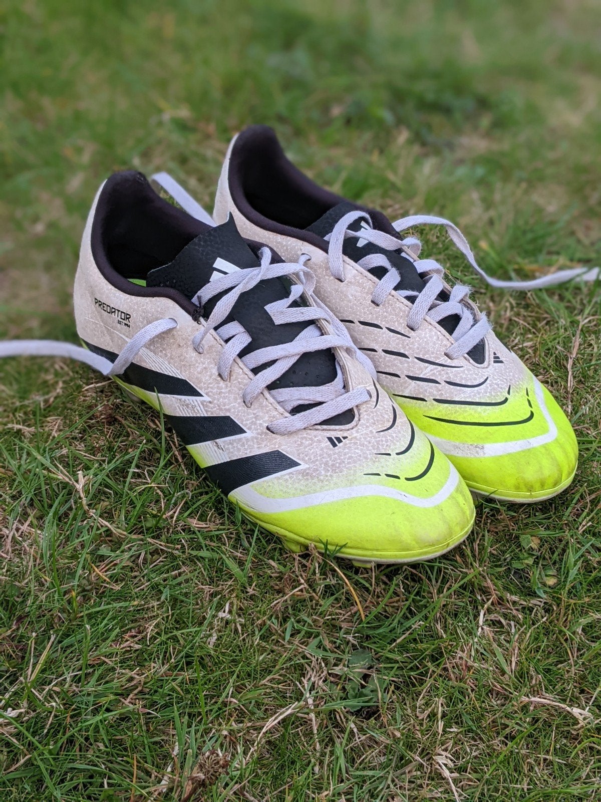 Adidas Predator voetbalschoenen - Maat 37 1/3, Gebruikt, Maat XS of kleiner, Schoenen, Ophalen of Verzenden