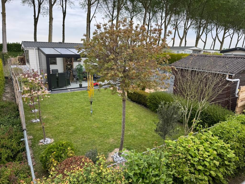 Te huur camping bonte hoeve Sint Kruis