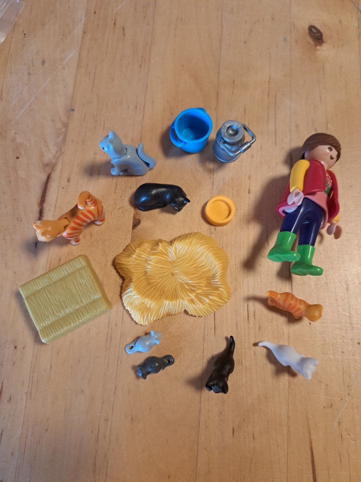 Playmobil kattenvrouw, Ophalen of Verzenden