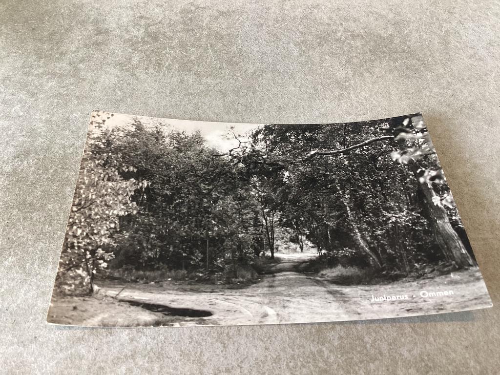 Ommen.       Juniperus     1959, Ophalen of Verzenden, 1940 tot 1960, Overijssel