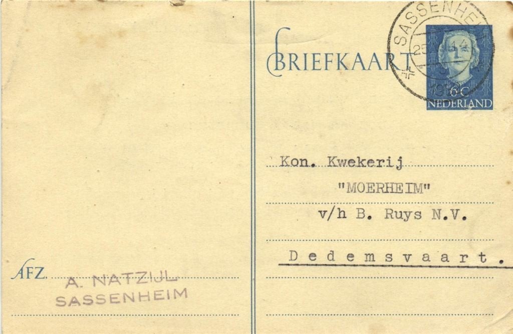A. Natzijl, Sassenheim - 07.1952 - briefkaart, Ophalen of Verzenden, Briefkaart