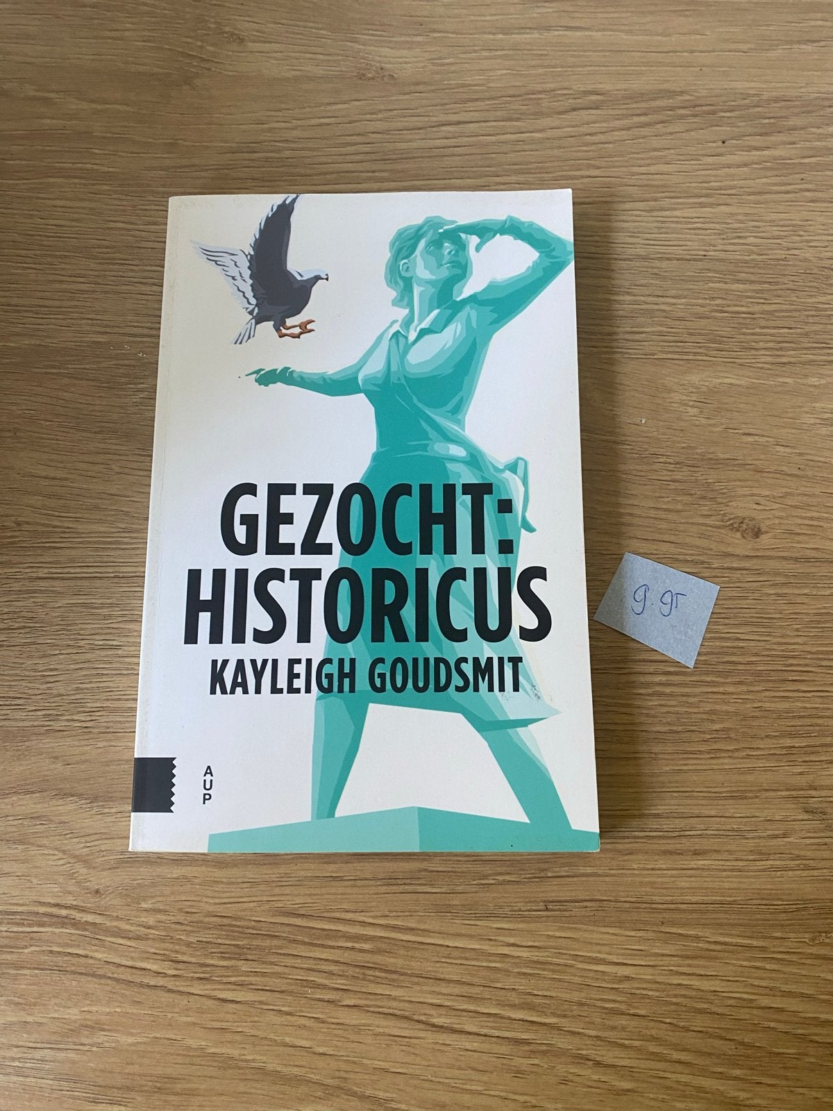 Gezicht: Historicus - Kayleigh Goudsmit (Boek), Ophalen of Verzenden, 20e eeuw of later, Zo goed als nieuw, Overige gebieden