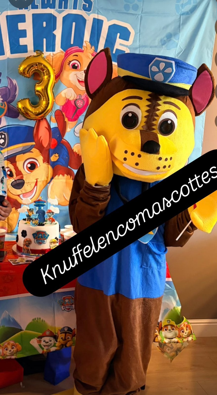 Mascottes paw patrol , elsa & mario te te huur!, Ophalen
