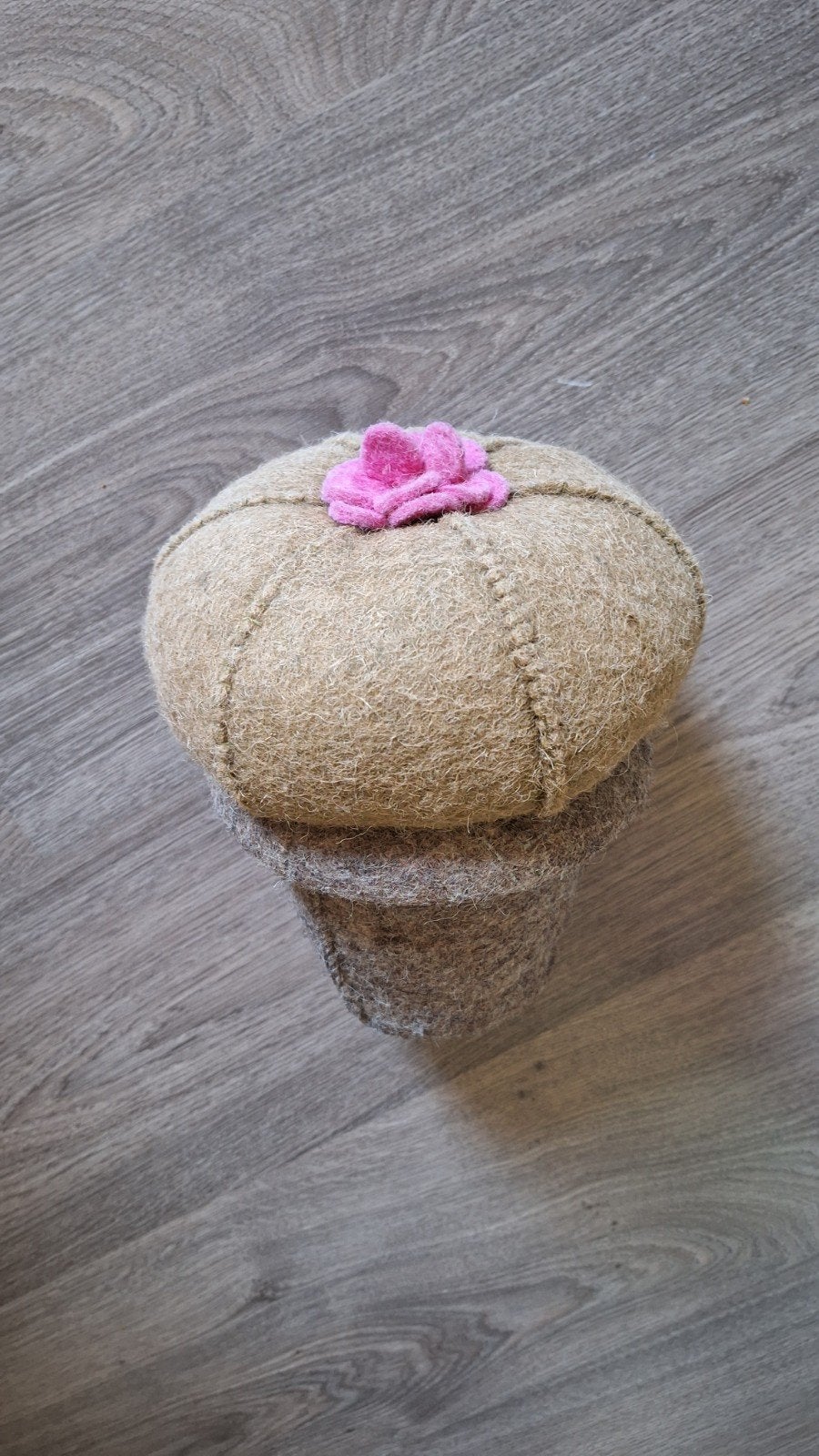 Decoratieve vilten cactus in pot, Ophalen of Verzenden, Zo goed als nieuw, Beige, Textiel