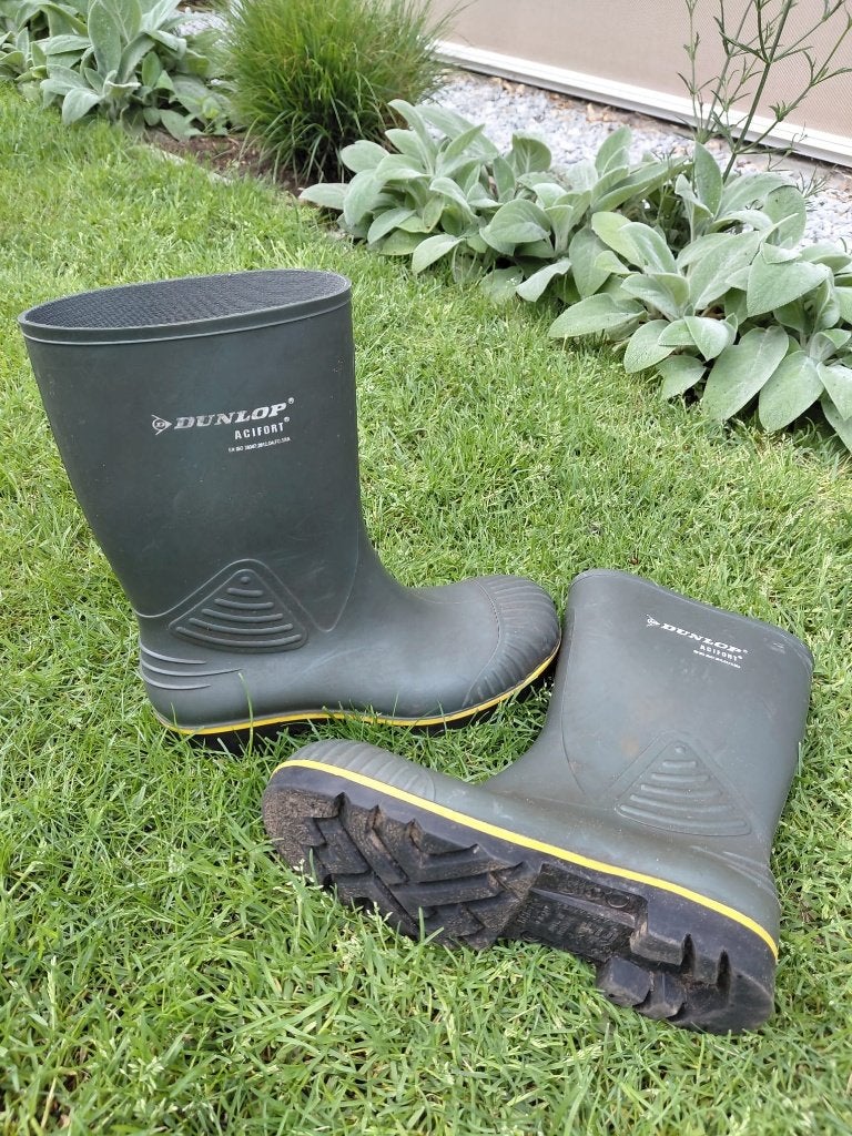 Dunlop Acifort Tuinlaars / Kuitlaars – maat 45, Tuin en Terras, Werkkleding, Ophalen of Verzenden, Zo goed als nieuw, Laarzen