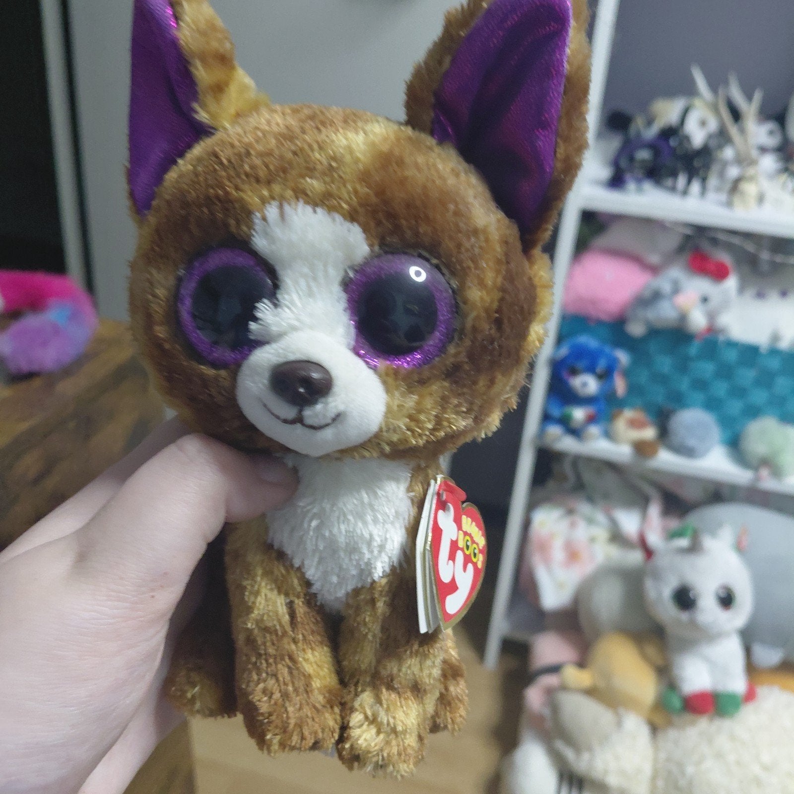 Ty Beanie Boos Dexter the Chihuahua knuffel - 15 cm, Overige karakters, Nieuw, Met label, Klein (minder dan 20 cm)