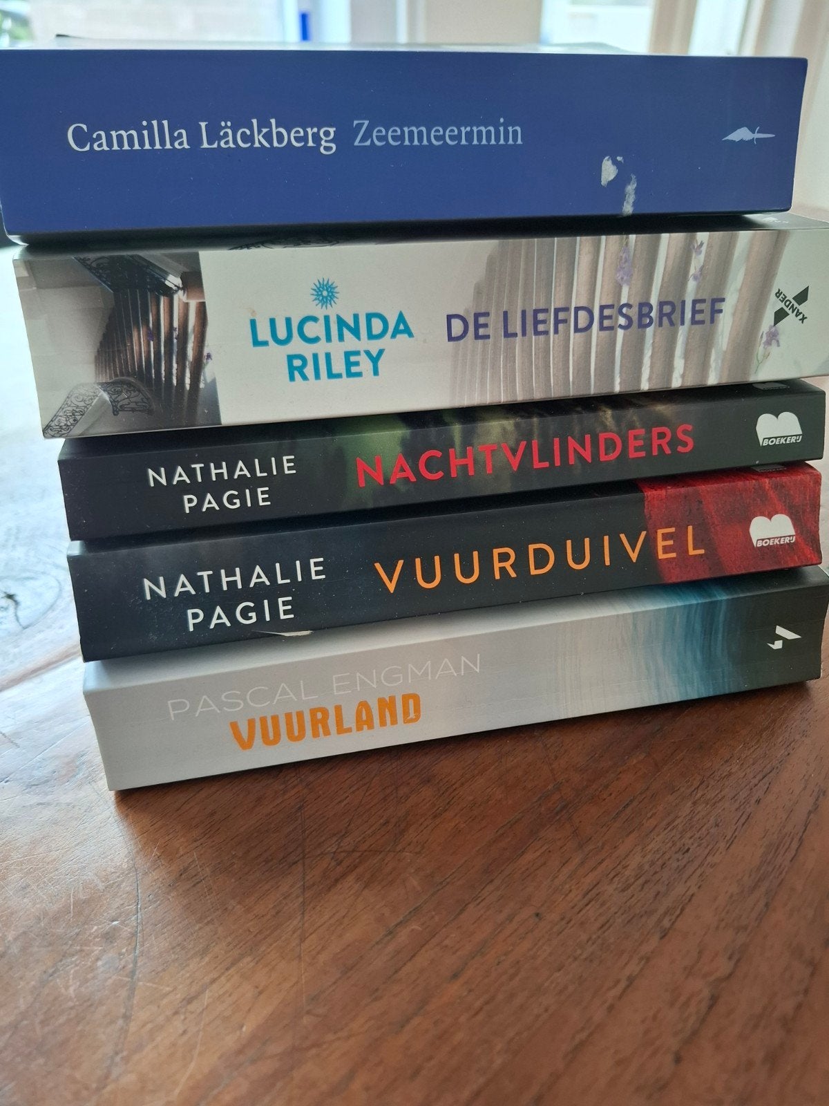 Boeken van diverse goede schrijfsters en schrijvers, Ophalen of Verzenden, Gelezen, Camilla Läckberg, Lucinda Riley, Nathalie Pagie, Pascal Engman