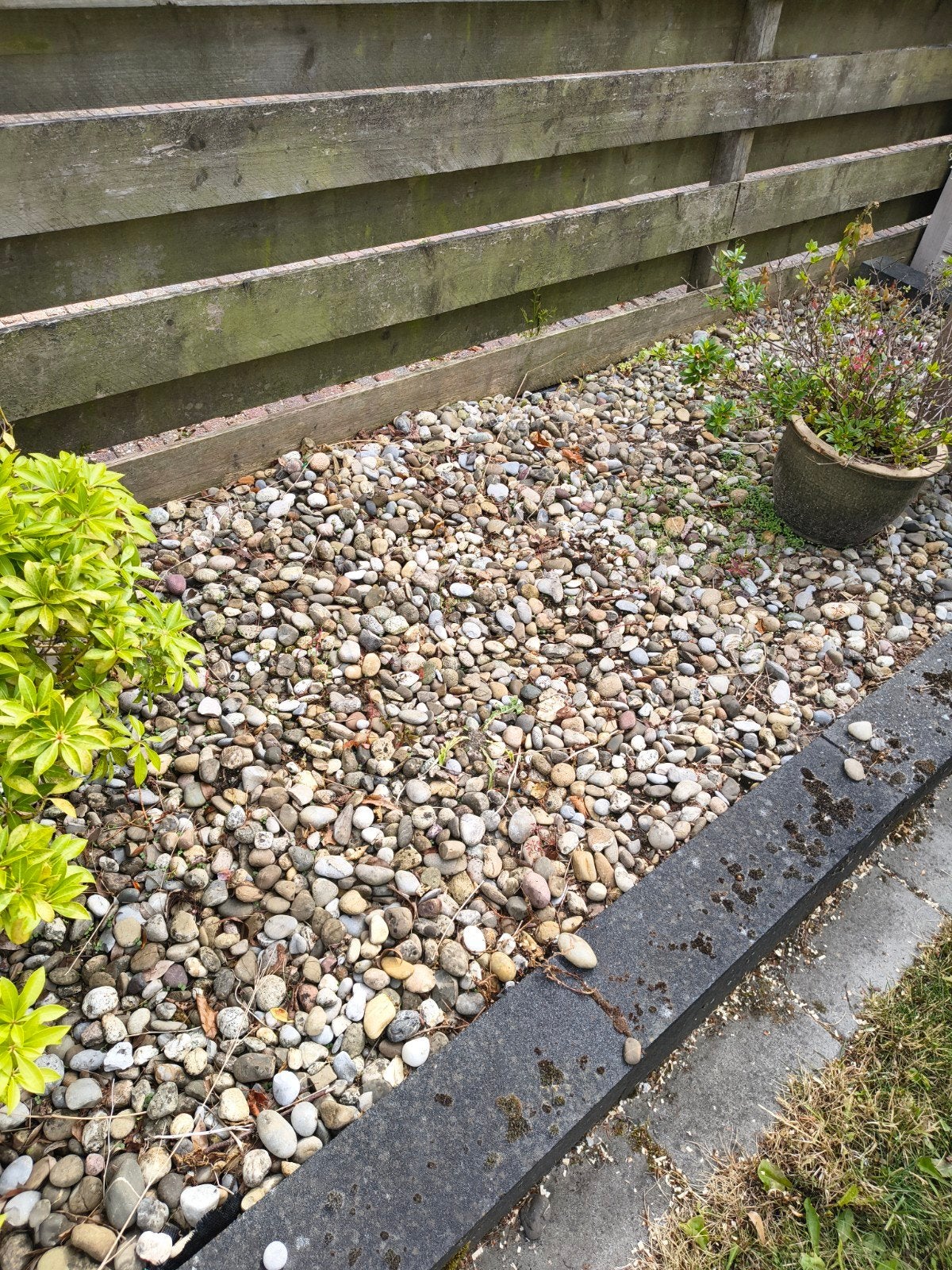 Decoratieve Siergrind/Keien voor Tuin of Oprit, Ophalen, Gebruikt, Multi, Grind