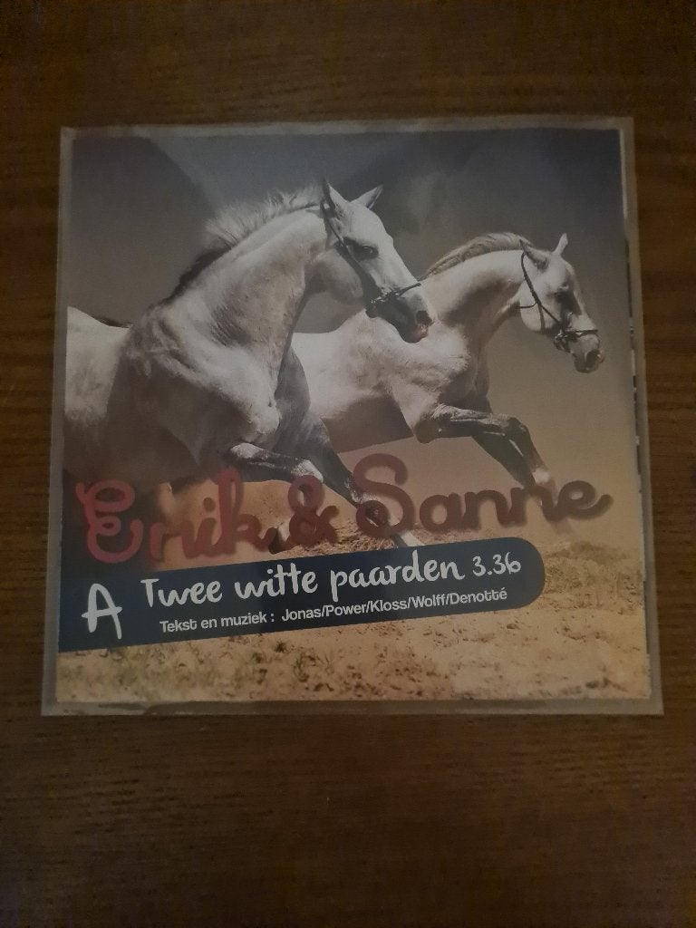 Erik en Sanne, Ophalen of Verzenden, Zo goed als nieuw, 7 inch, Levenslied of Smartlap
