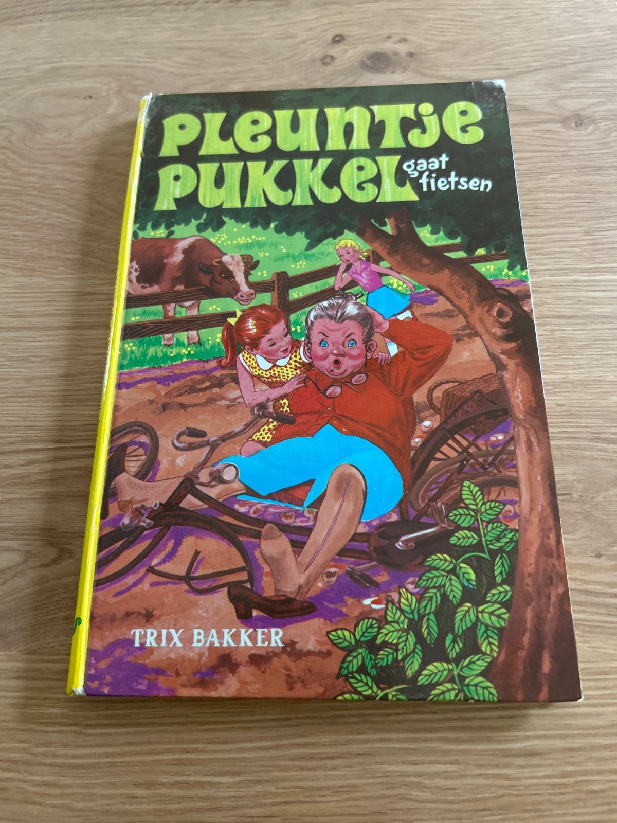 Pleuntje Pukkel gaat fietsen - Trix Bakker, Ophalen of Verzenden, Gelezen, Fictie algemeen