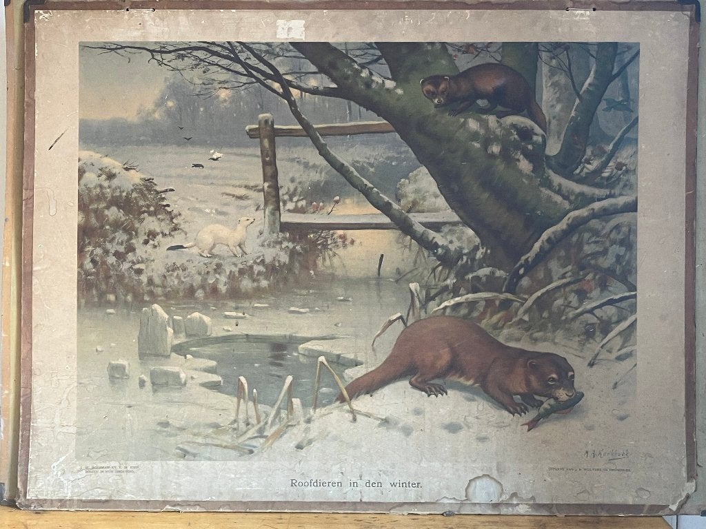 Schoolplaat Roofdieren in de winter, Ophalen, Natuur en Biologie