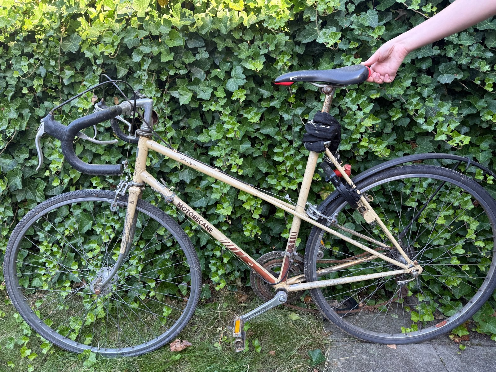 Vintage Motobecane racefiets - Opknapper, Gebruikt, Staal, 53 tot 57 cm, Ophalen