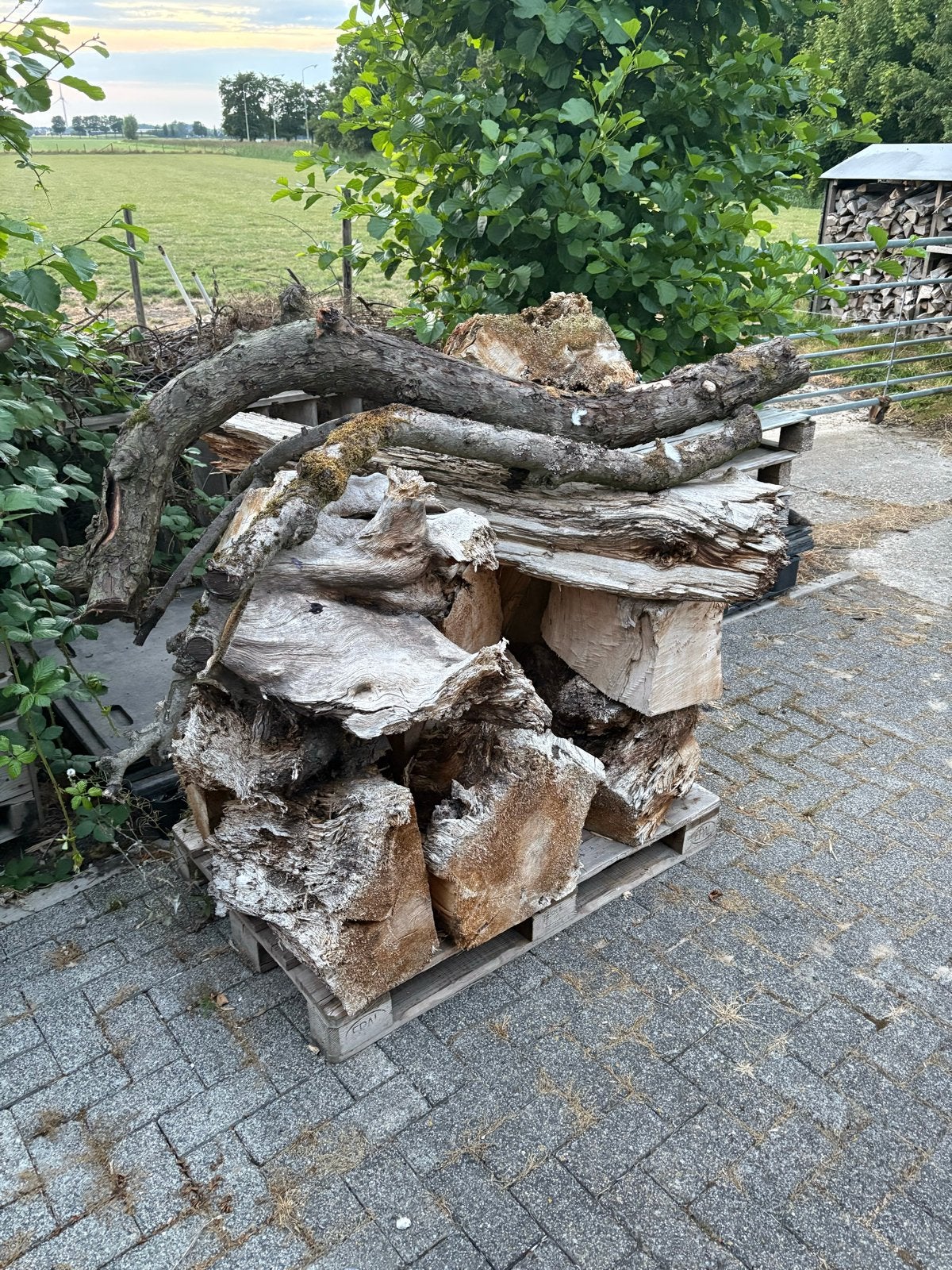 Gratis Brandhout / insectenhotel, Tuin en Terras, Haardhout, Minder dan 3 m³, Ophalen