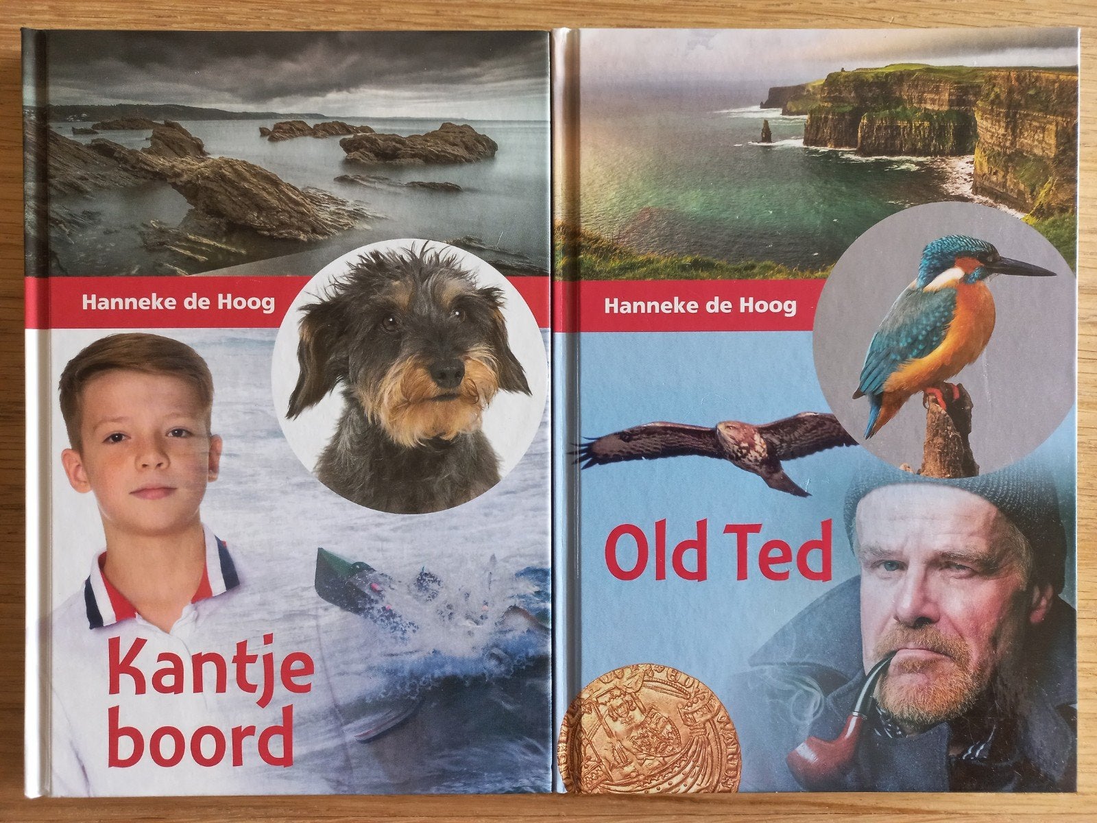 2 spannende chr jeugdboeken, Hanneke de Hoog, ZGAN samen €7, Ophalen of Verzenden, Zo goed als nieuw