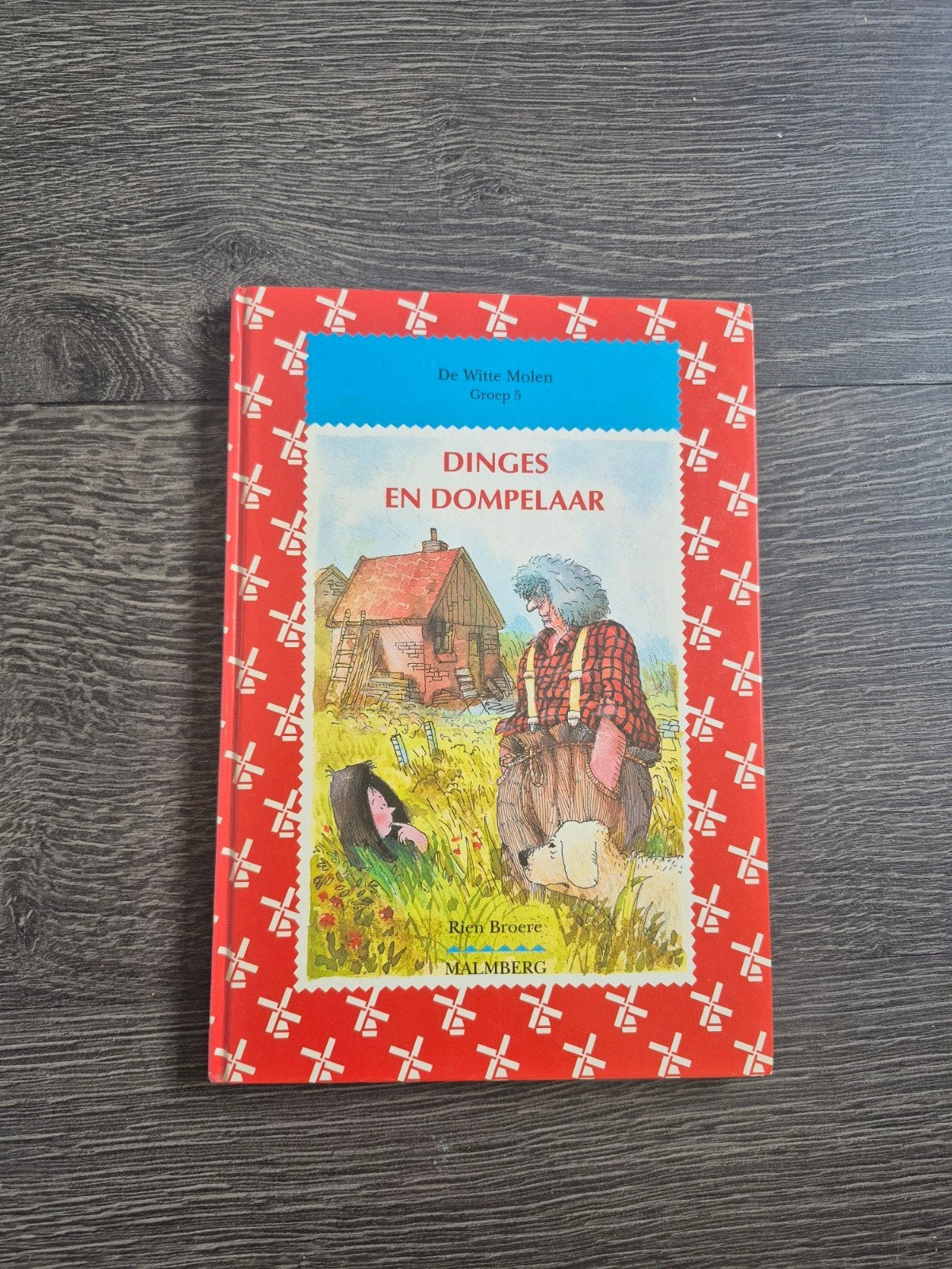Dinges en Dompelaar - De Witte Molen Groep 3, Ophalen of Verzenden, Zo goed als nieuw, Rien Broere, Fictie algemeen