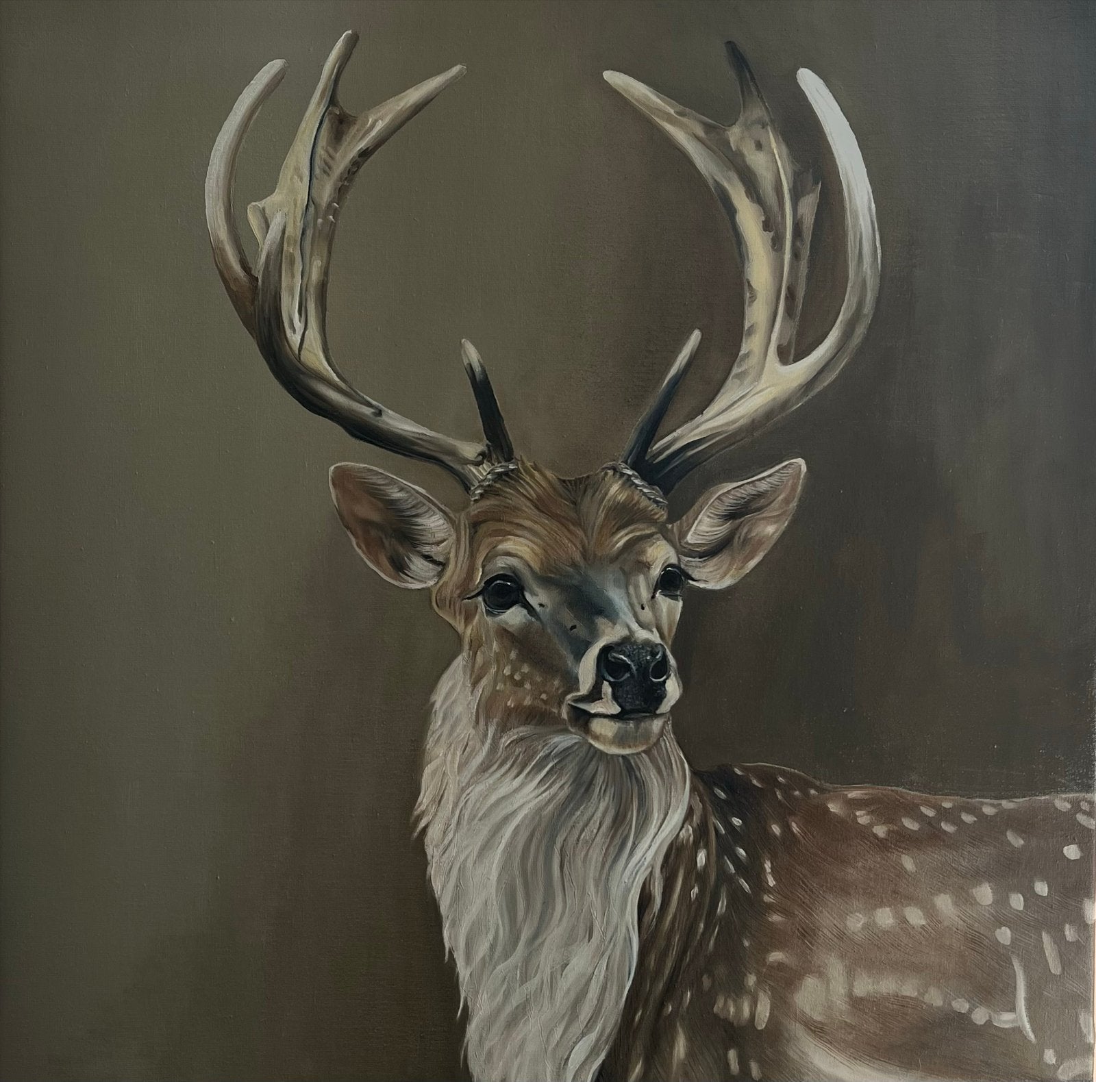 Handgeschilderd Olieverf Schilderij Hert 80x80 cm, Ophalen, Handgeschilderd, Olieverf, Dieren