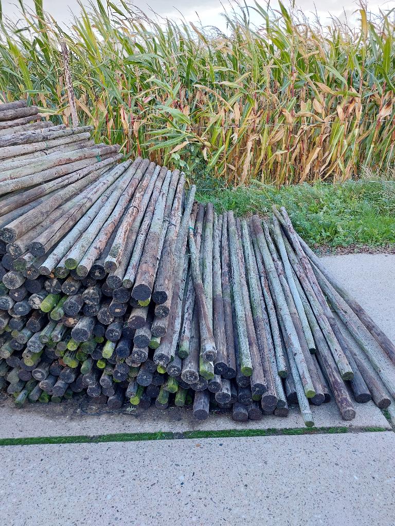 boompalen, Ophalen, Gebruikt, 250 cm of meer, Palen