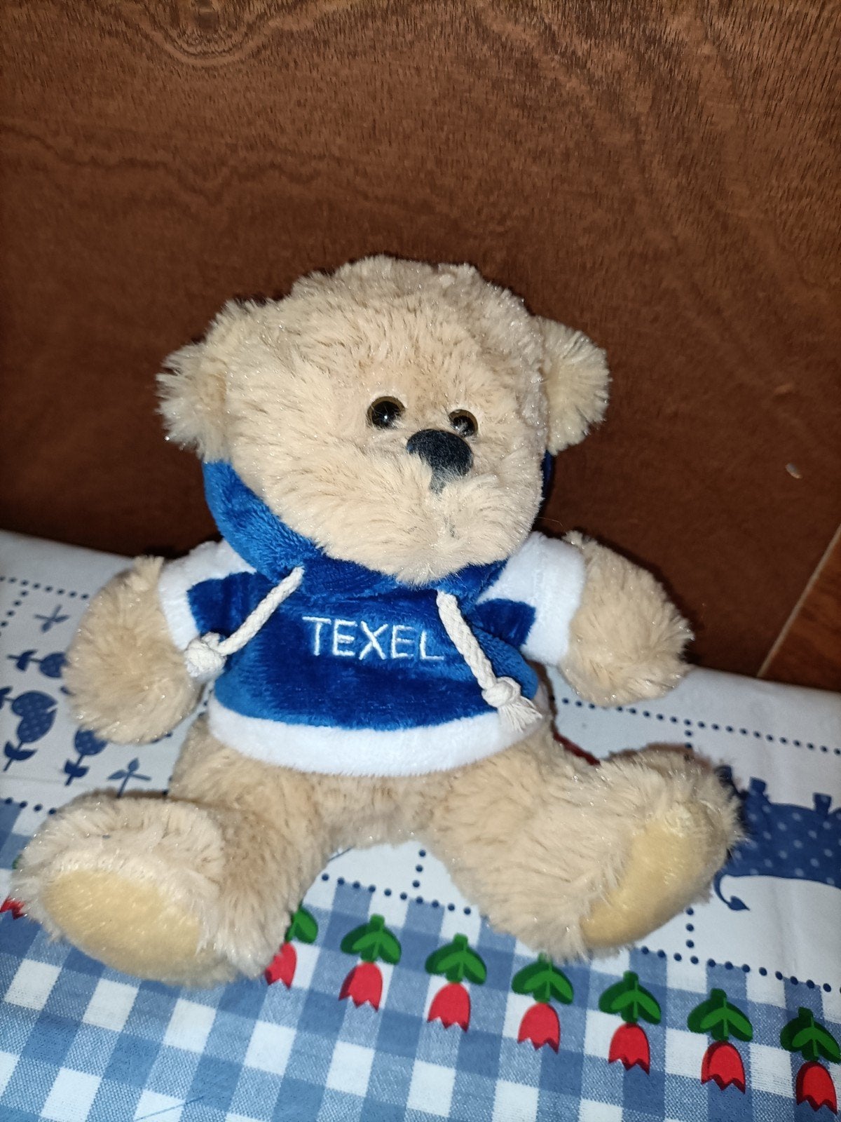 Texel beer knuffel 19 cm groot, Ophalen of Verzenden, Zo goed als nieuw, Beer