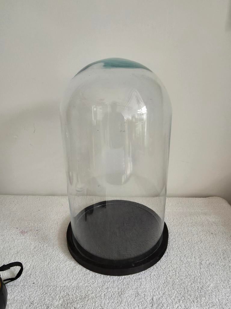 Glazen stolp 37 cm hoog, 21 cm diameter, Huis en Inrichting, Ophalen of Verzenden, Gebruikt
