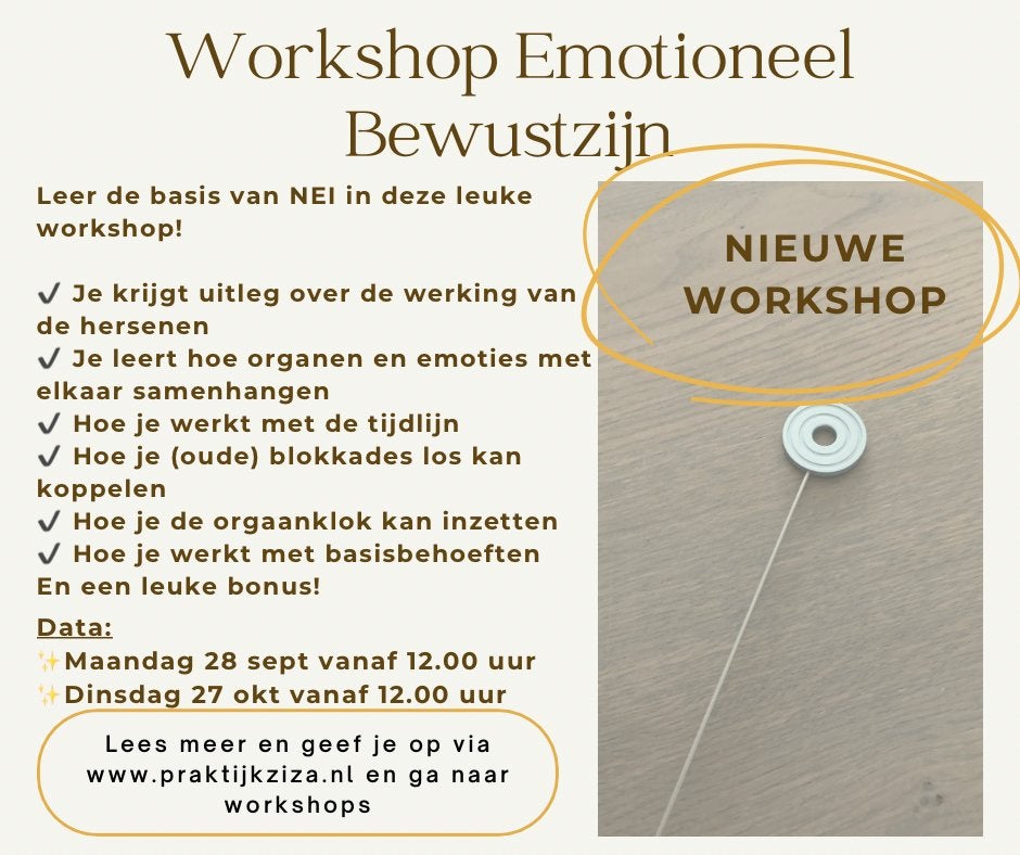 Workshop nei basis (biotensor), Ophalen, Zo goed als nieuw