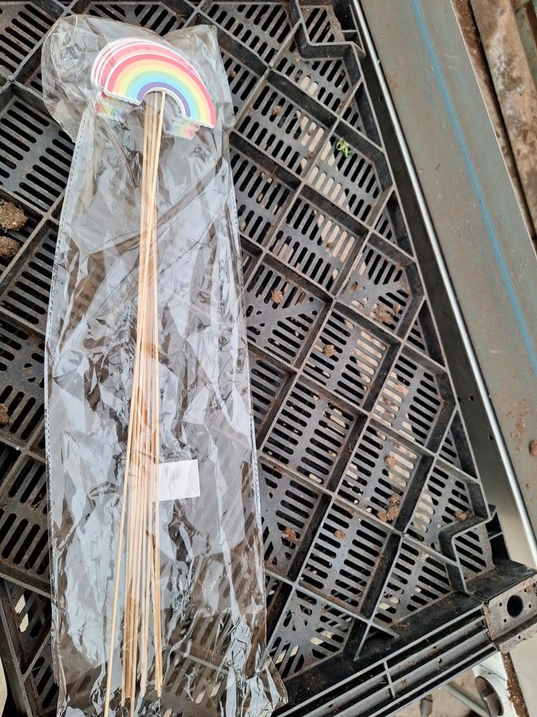Regenboog stekertjes decoratie voor plantjes 2 voor 1,00, Tuin en Terras, Planten | Tuinplanten, Ophalen of Verzenden, Eenjarig