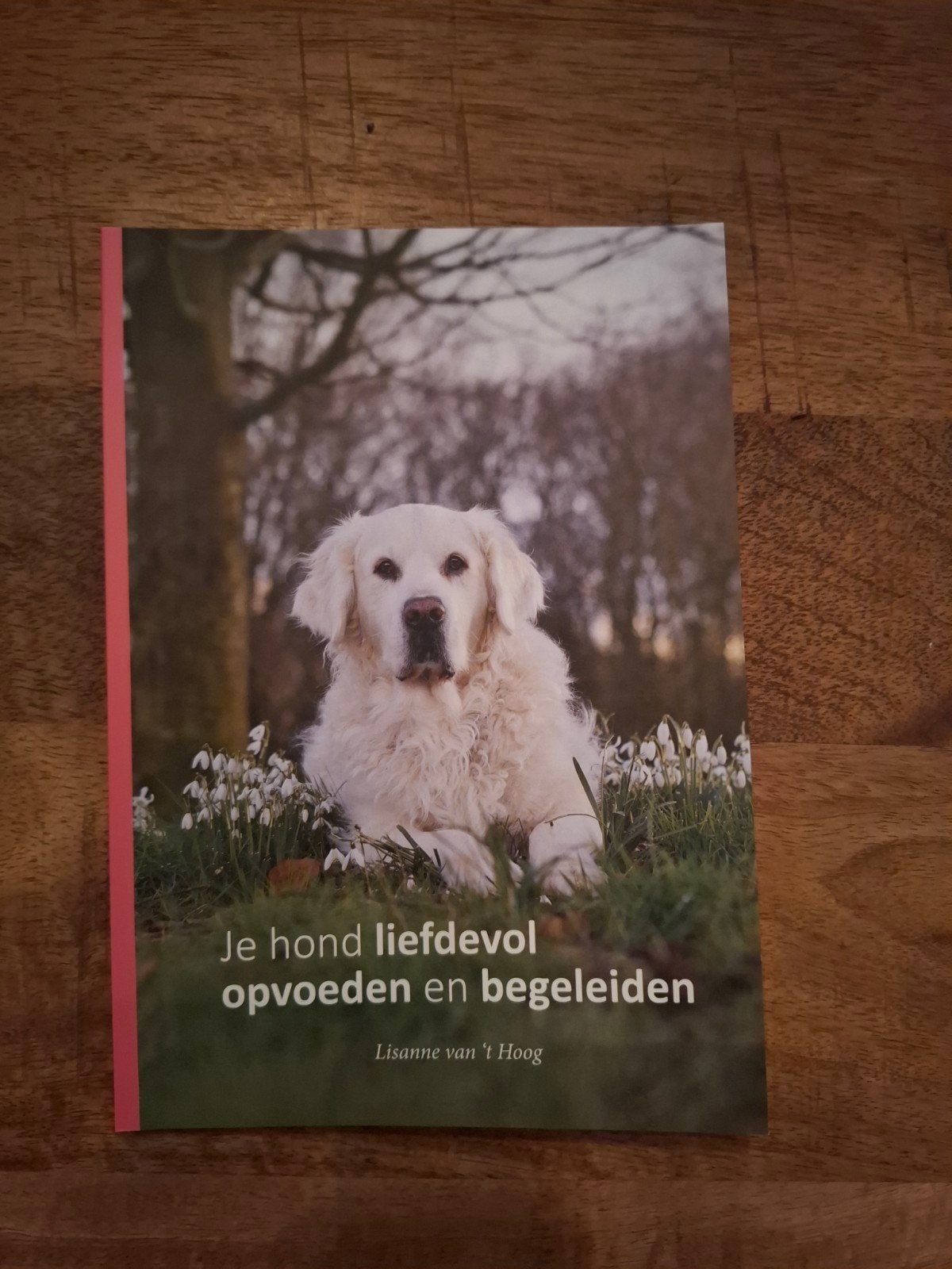 Boek; je hond liefdevol opvoeden., Ophalen, Lisanne van 't Hoog, Honden, Zo goed als nieuw