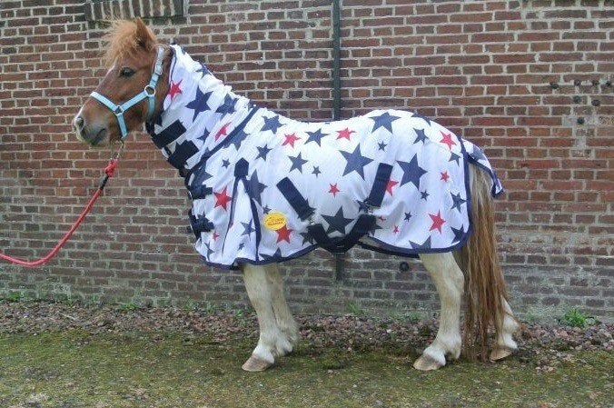 Ponyvliegendeken, Dieren en Toebehoren, Gersal, Maasbracht, Ophalen of Verzenden, Gersalsport@home.nl