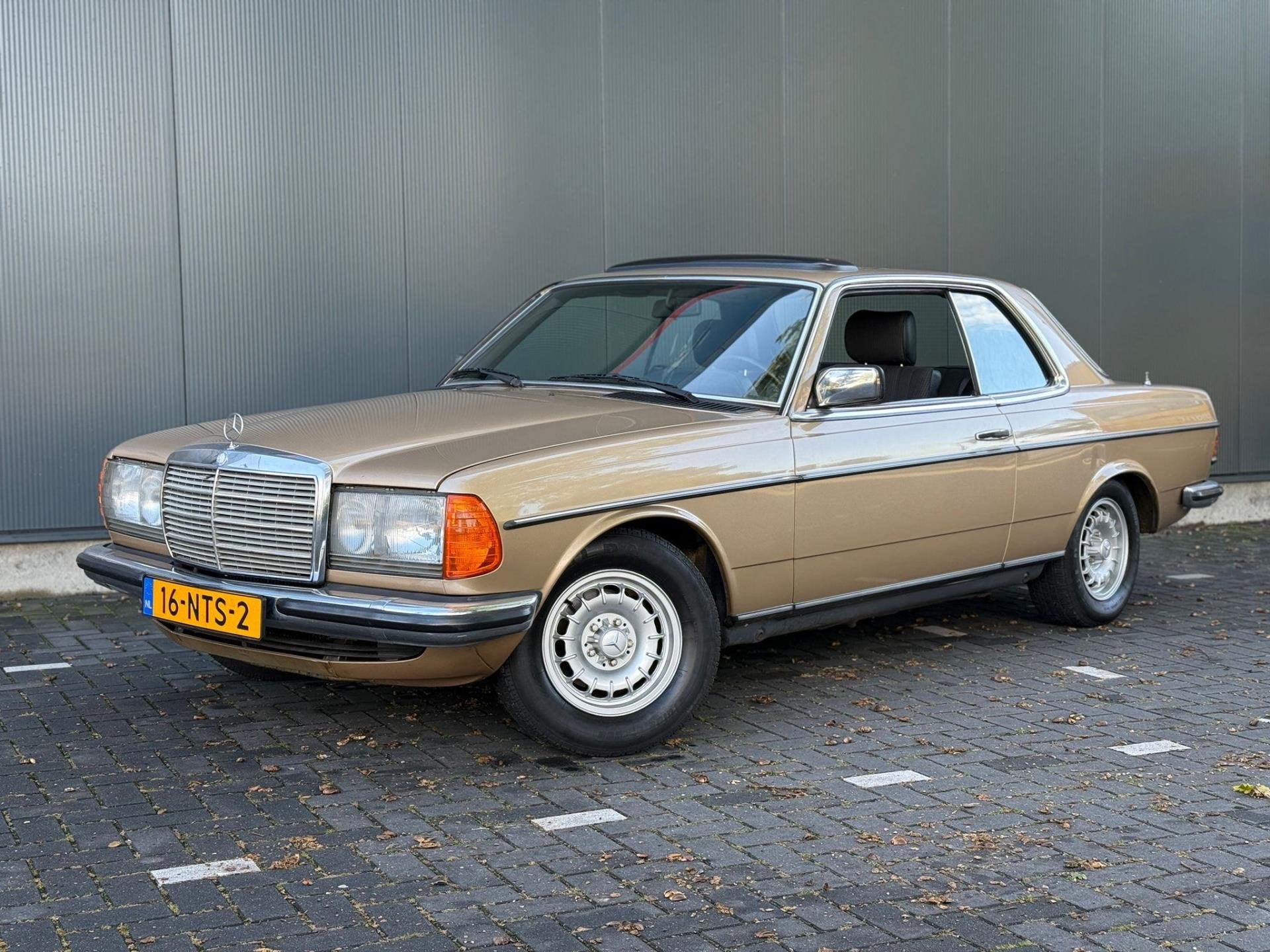Mercedes-Benz 200-280 (W123) 230 CE, foto 7