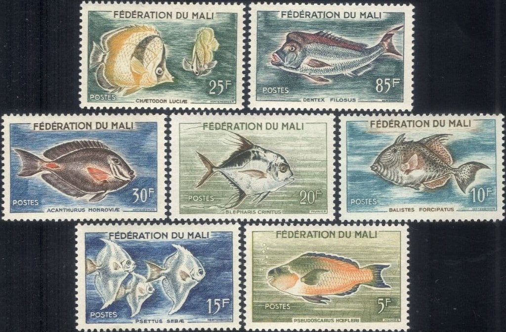MALI 31 - Dieren: vissen, Ophalen of Verzenden, Postfris, Dier of Natuur