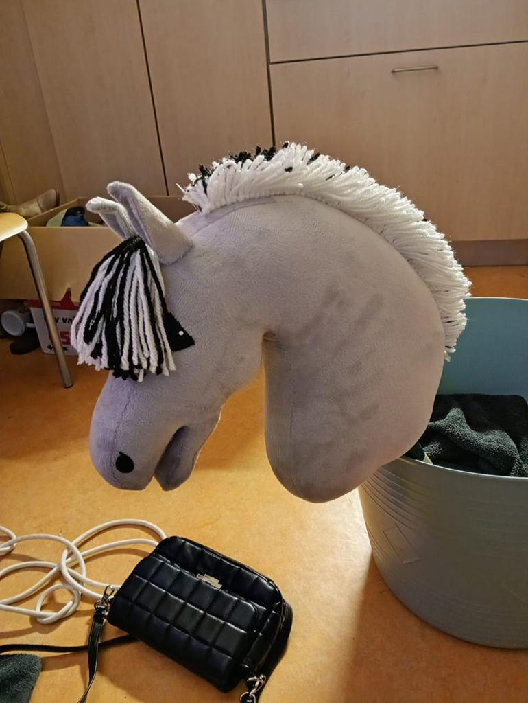 MOET NU WEG! TSW fjord hobbyhorse, Ophalen of Verzenden, Zo goed als nieuw, Jongen of Meisje