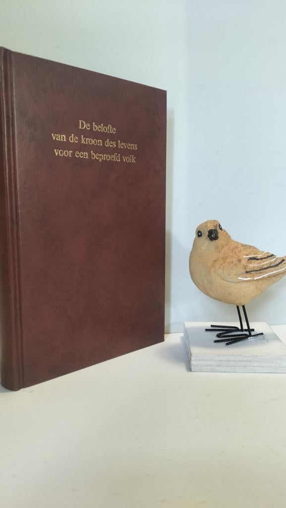 Noort, Ds. G.J. Van den; De belofte van de kroon des levens, Boeken, Godsdienst en Theologie, Ophalen of Verzenden, Gelezen, Christendom | Protestants