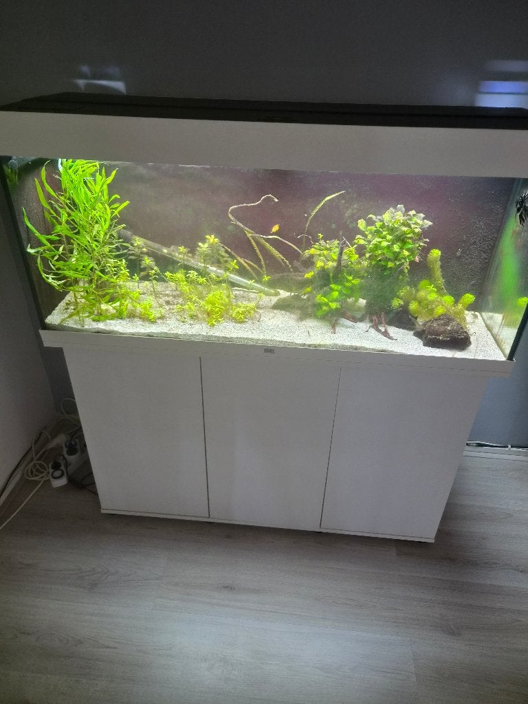 Aquarium, Ophalen, Inclusief vissen, Zo goed als nieuw, Leeg aquarium