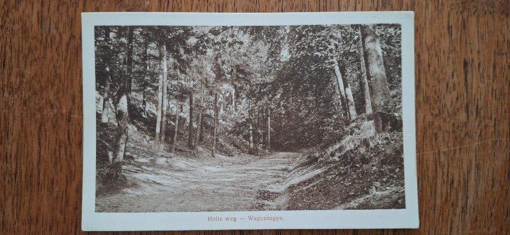 Oude kaart Wageningen - Holle weg, Verzamelen, Ophalen of Verzenden, 1920 tot 1940, Ongelopen, Gelderland