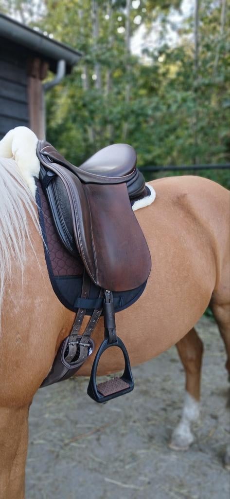 Ninon schutte Bermonde 18 inch bruin dressuurzadel.Valt kort, Dieren en Toebehoren, Paarden en Pony's | Zadels, Ophalen of Verzenden