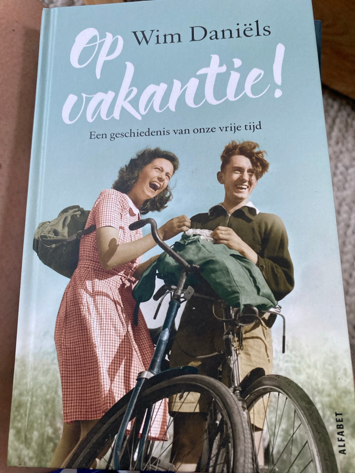 Op vakantie! Een geschiedenis van onze vrije tijd - Wim Dani, Ophalen of Verzenden, Zo goed als nieuw, Nederland